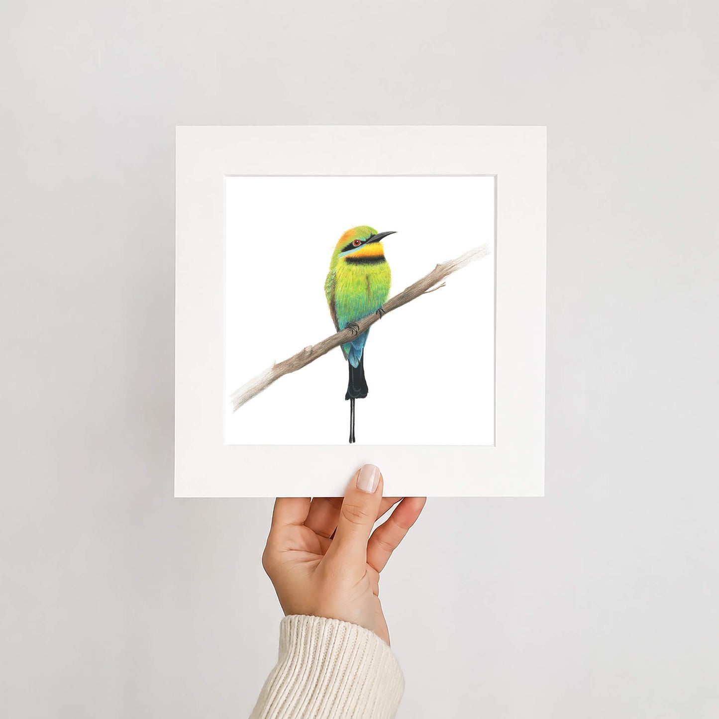 Hand holding a mounted print of a rainbow bee-eater bird on a branch against a white background