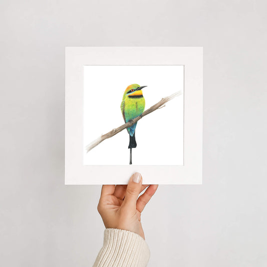 Hand holding a mounted print of a rainbow bee-eater bird on a branch against a white background
