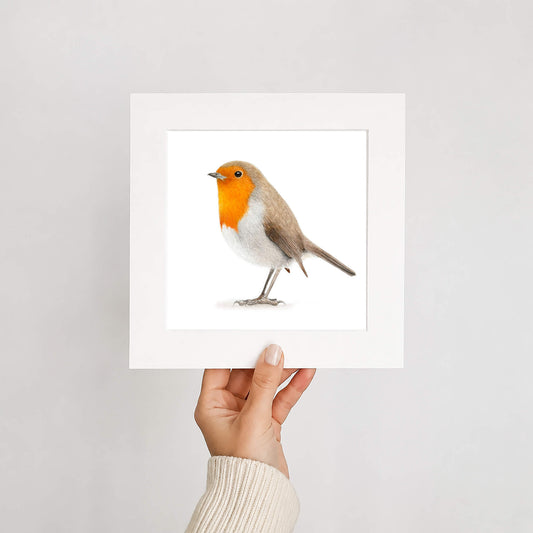 Hand holding an art print of a robin illustration on a light gray background