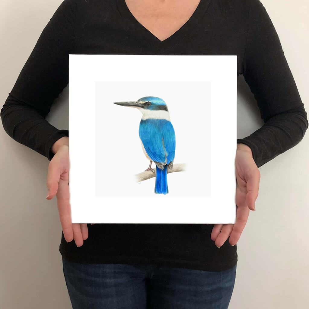 A giclée fine art print on paper of a Sacred Kingfisher bird on a light grey background. This image illustrates the print size.