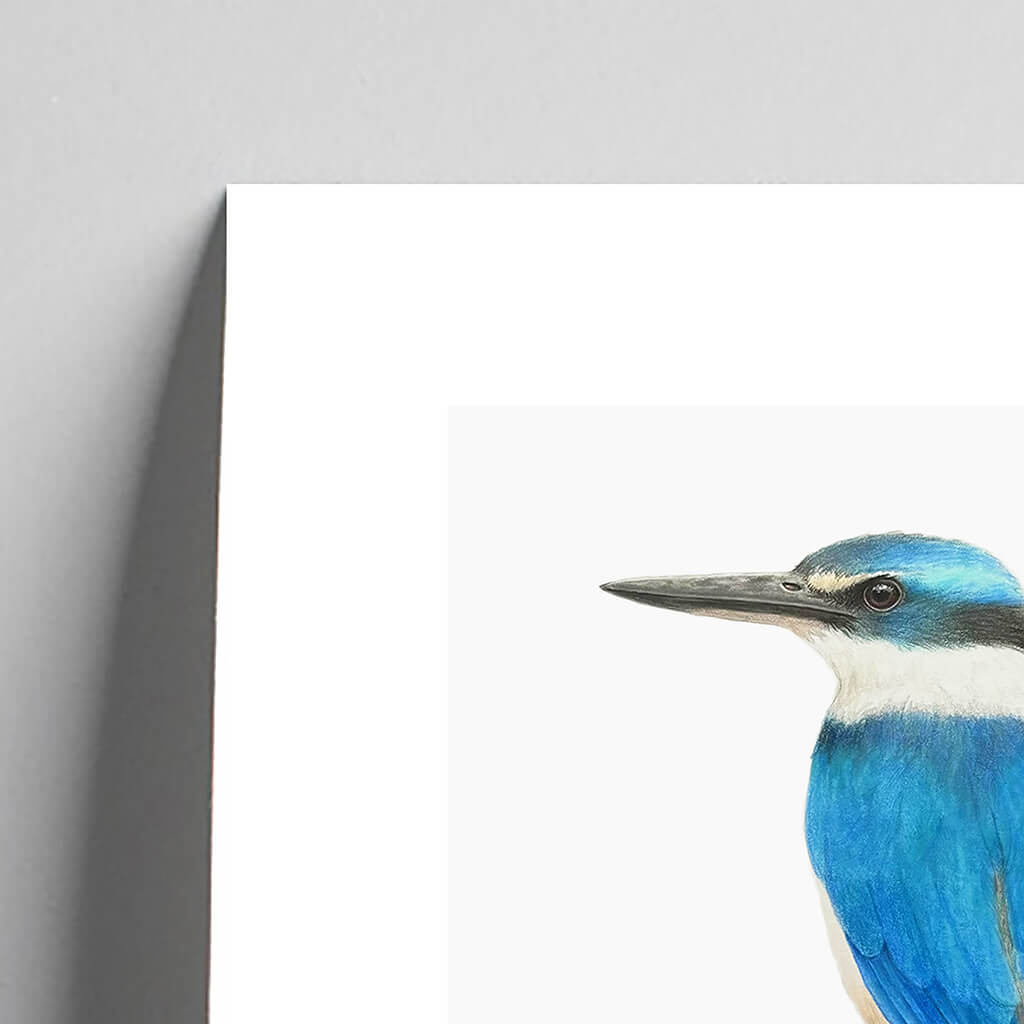 Giclée fine art print of a Sacred Kingfisher on a pale grey background. This image shows a section, to highlight the detail.