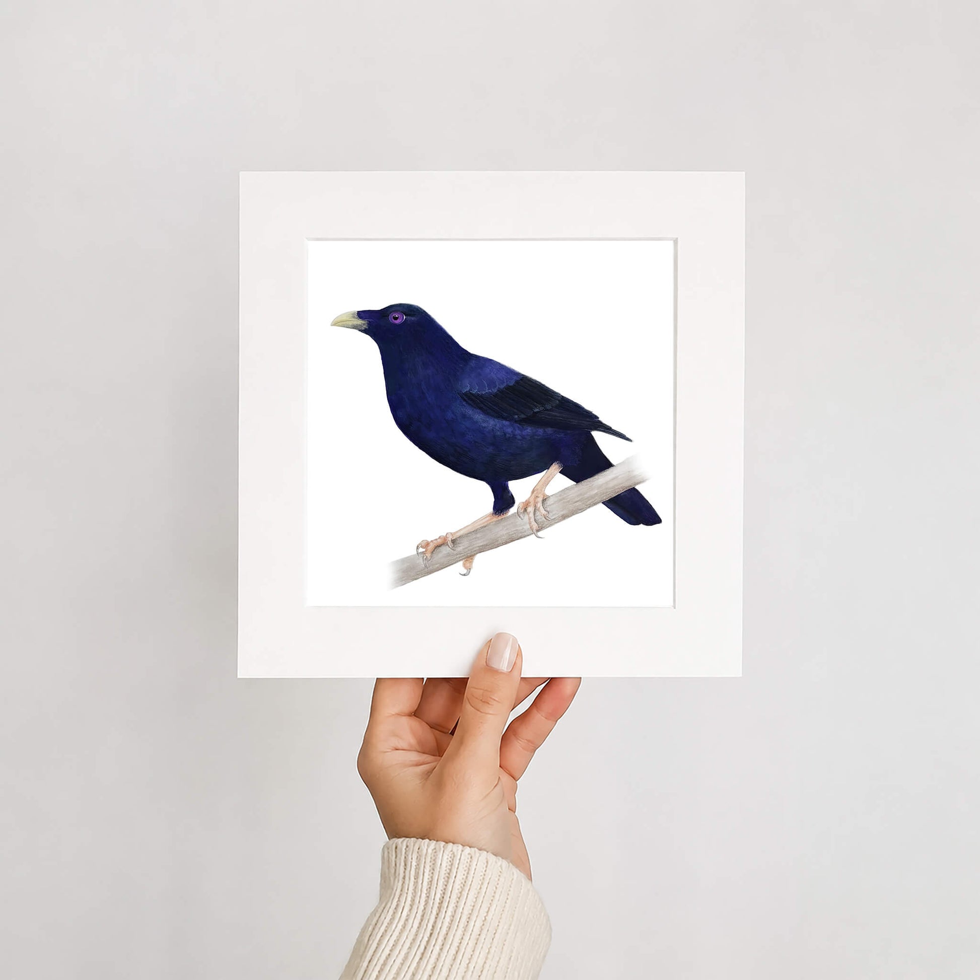 Hand holding a framed print of a blue bird on a white background