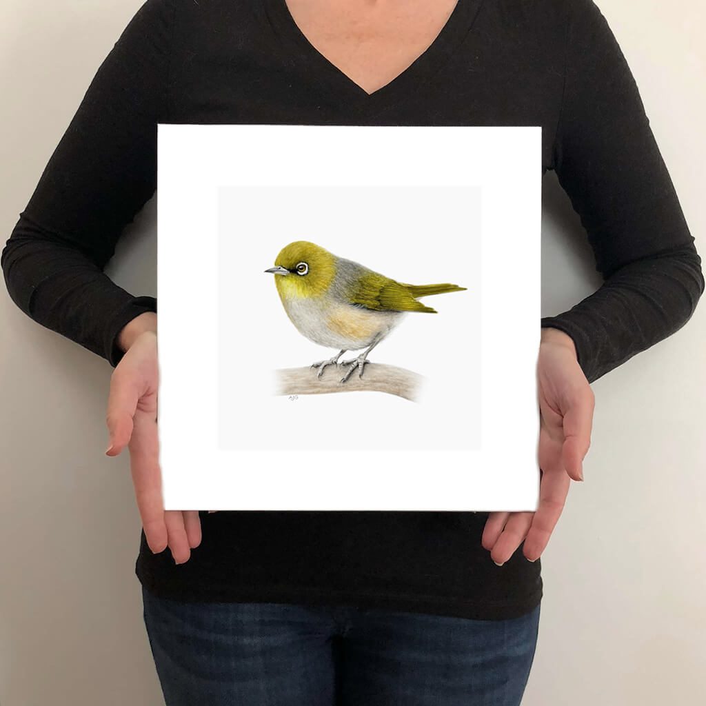 A giclee fine art print on paper of a silvereye bird on a light grey background. This image shows the print size.