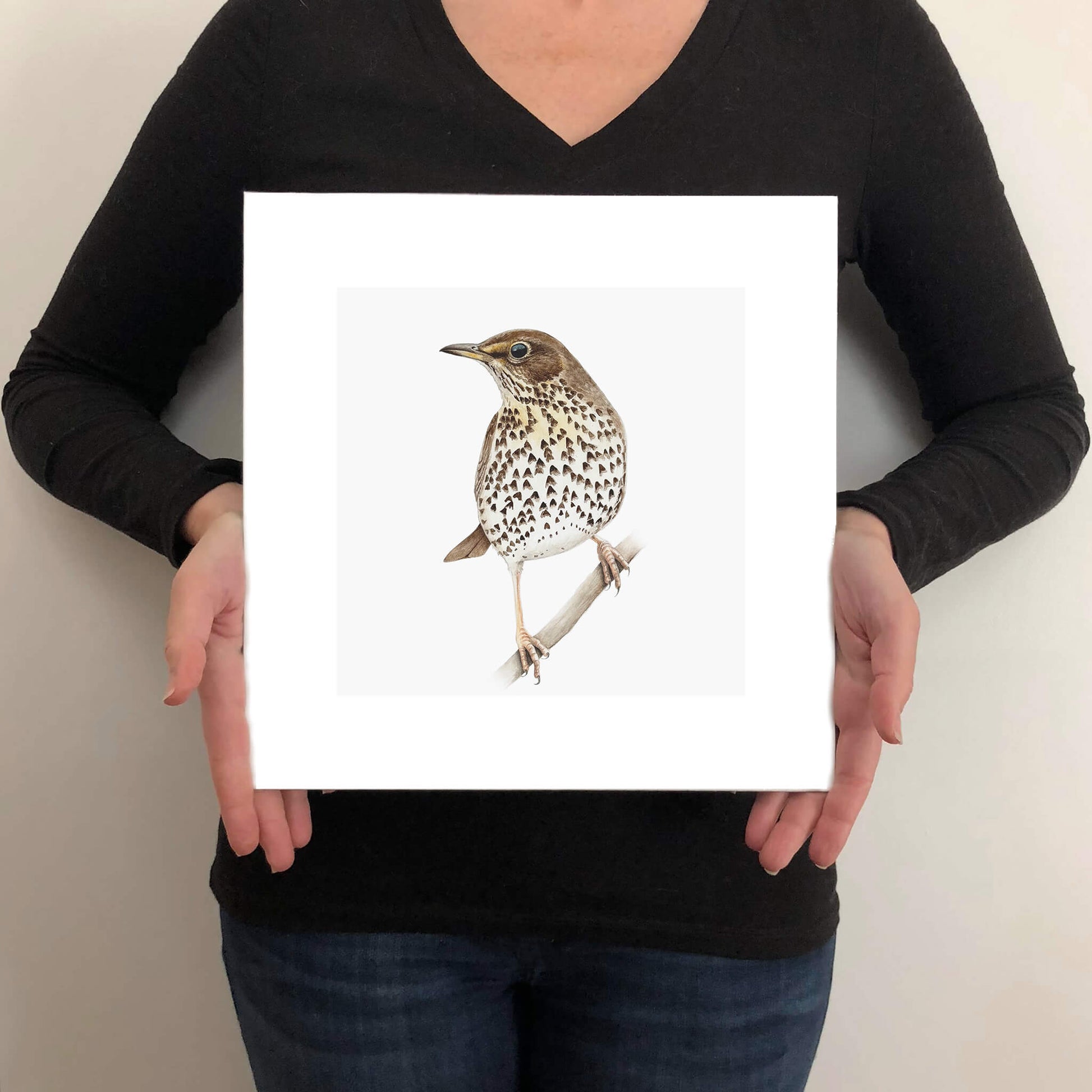 Person holding a print of a song thrush bird illustration against a plain background