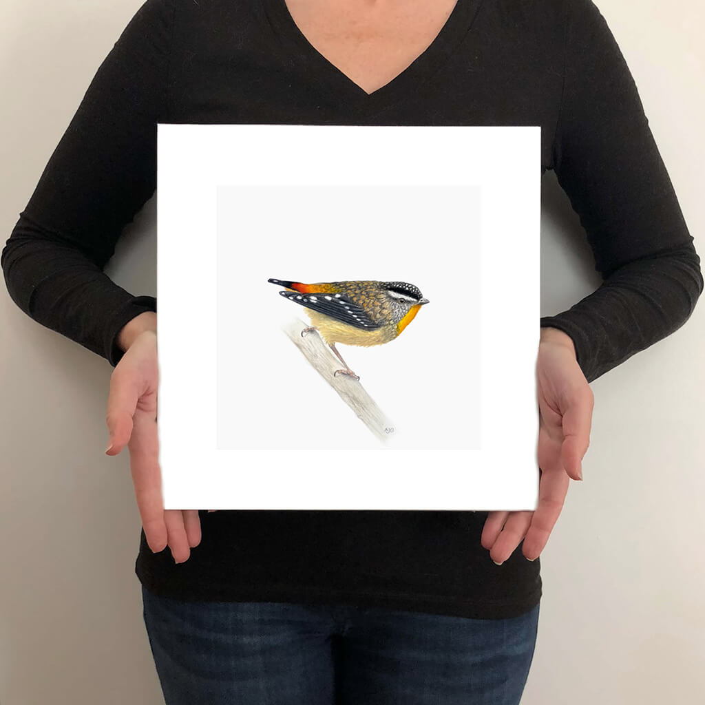 A giclée fine art print on paper of a Spotted Pardalote bird on a light grey background. This image illustrates the print size.