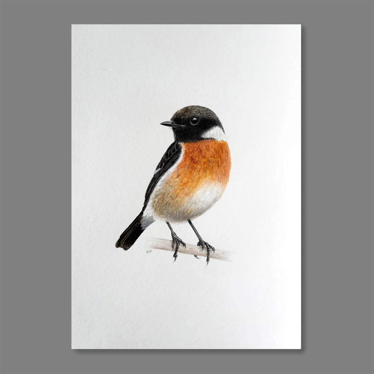 An original A4 gouache and colour pencil painting of a male Stonechat bird on a branch by Amanda Gosse bird artist