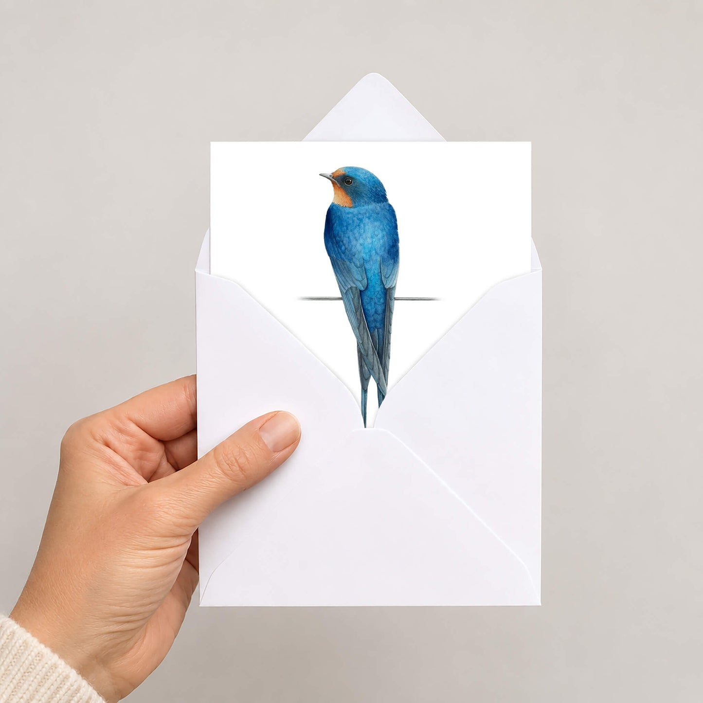 Hand holding a card with a swallow bird design on a plain background