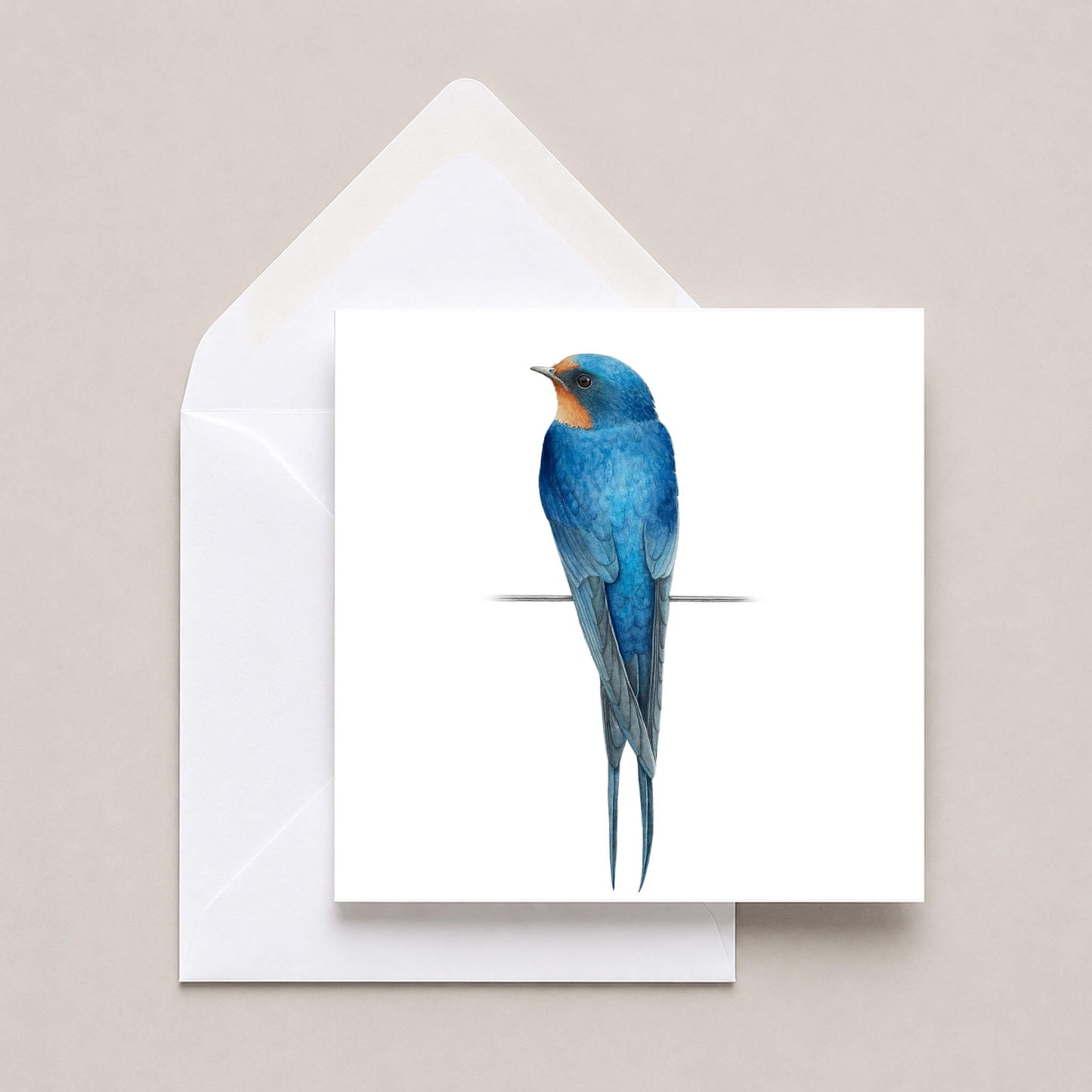 Greeting card with a swallow bird illustration on a white background