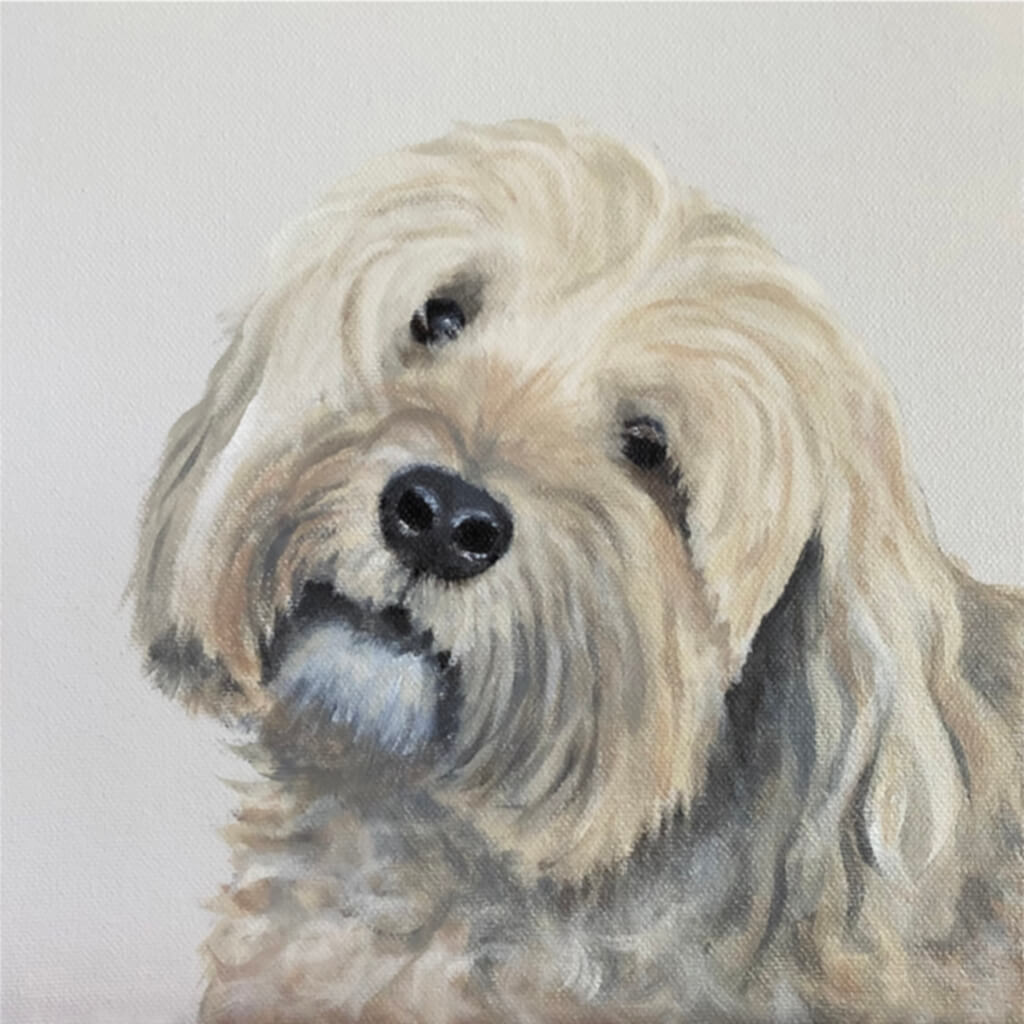 Tibetan Terrier dog pet portrait painting by Amanda Gosse pet commission