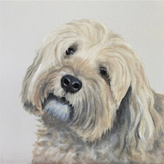 Tibetan Terrier dog pet portrait painting by Amanda Gosse pet commission