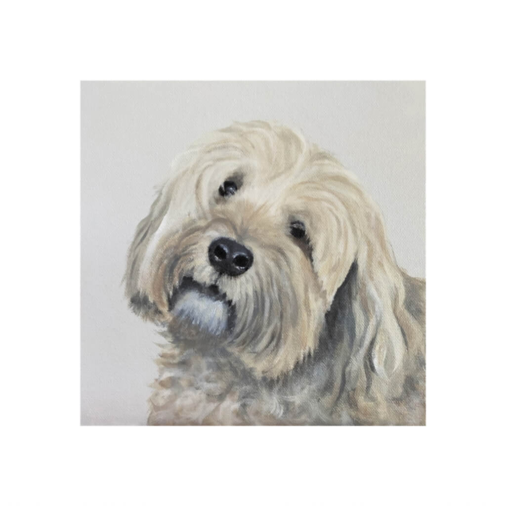 Tibetan Terrier dog portrait giclée fine art print by Amanda Gosse