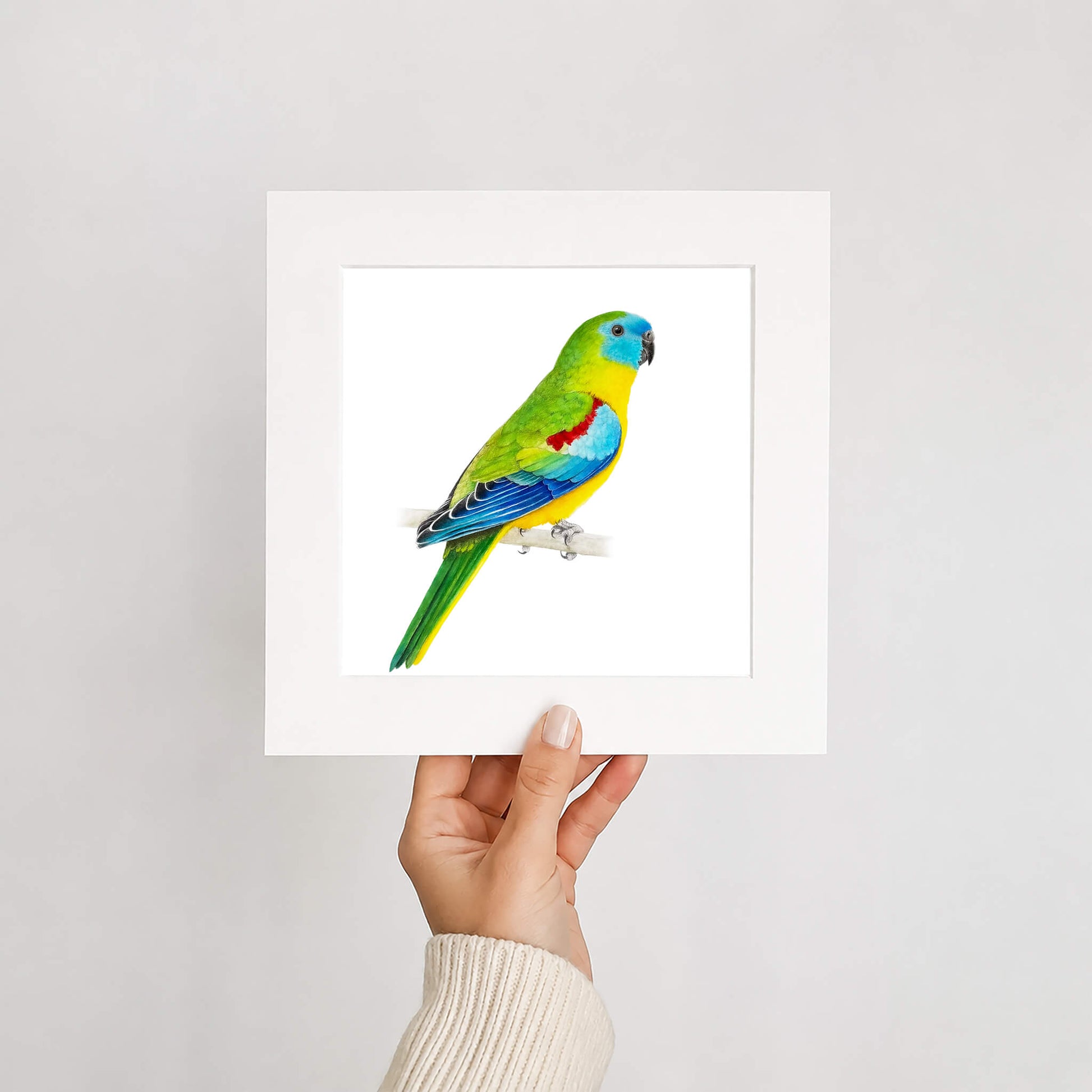 Hand holding a card with a colorful parrot illustration against a white background