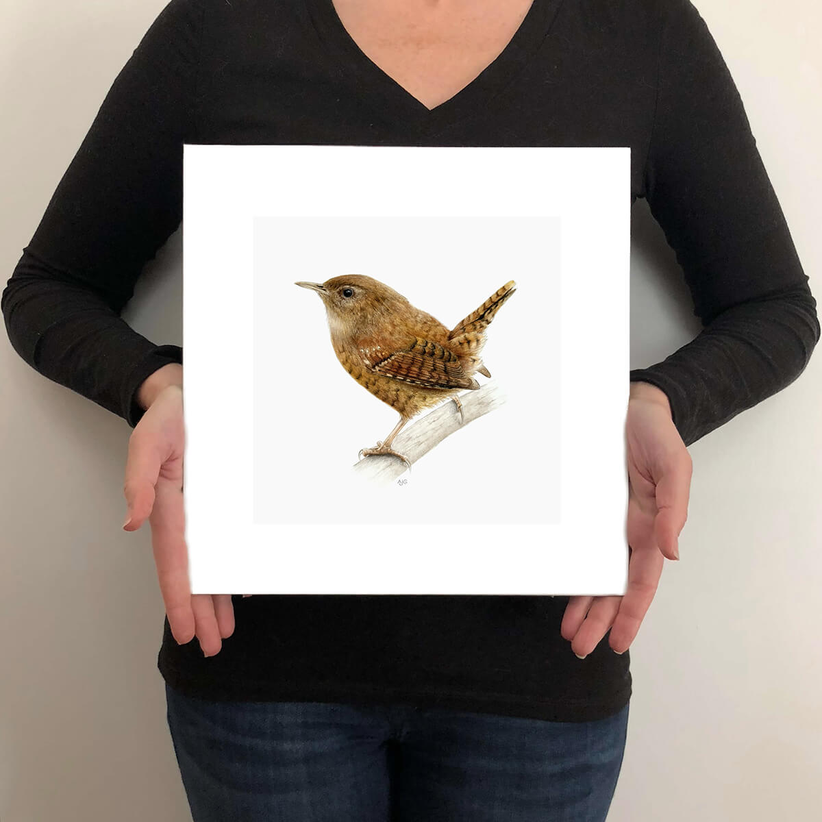 A giclee fine art print on paper of a wren bird on a light grey background. This image illustrates the print size.