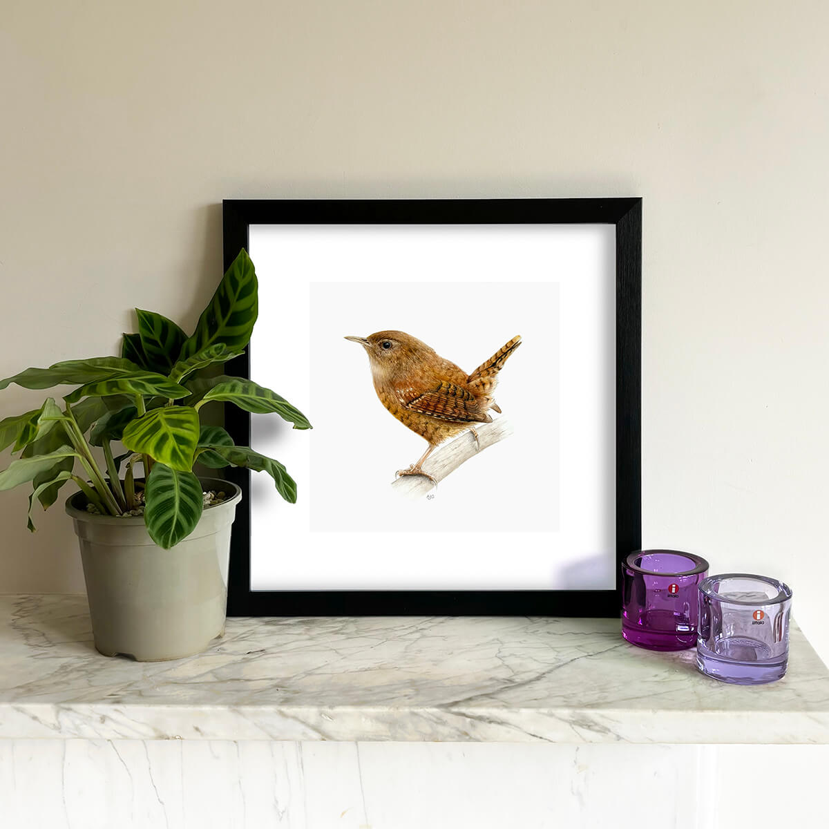 A bird giclee fine art print on paper of a wren on a light grey background. Image shows the print framed and in a room setting.