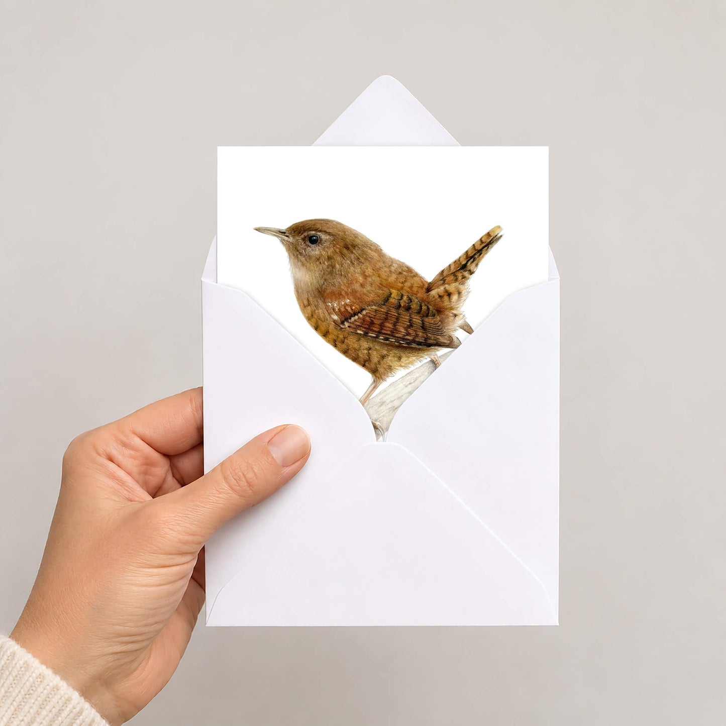 A wren greetings card in white envelope held by hand