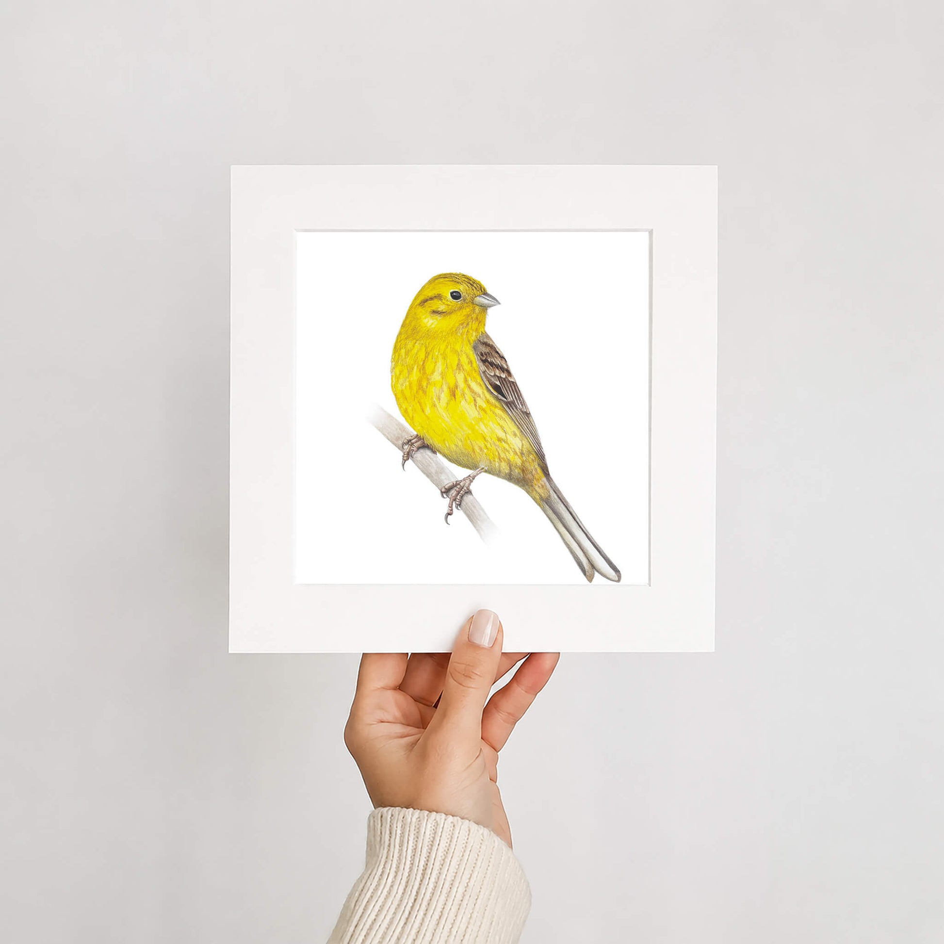 Hand holding a framed print of a yellowhammer bird on a white background