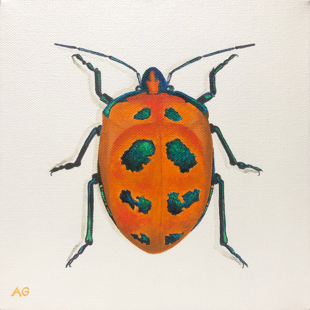 Cotton harlequin beetle original painting