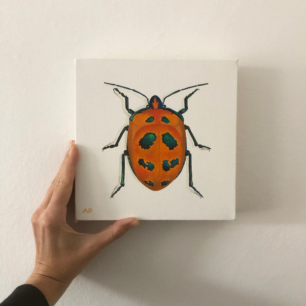 Cotton harlequin beetle painting by Amanda Gosse