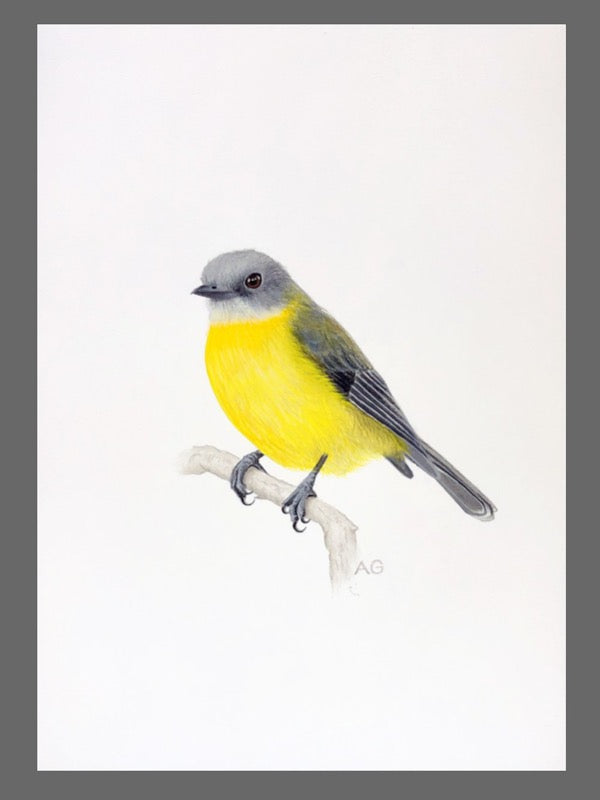 Australian Bird Original Art by Amanda Gosse