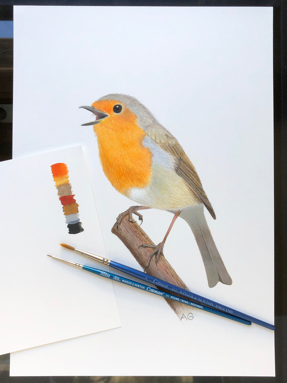 Painting of a European robin by Amanda Gosse