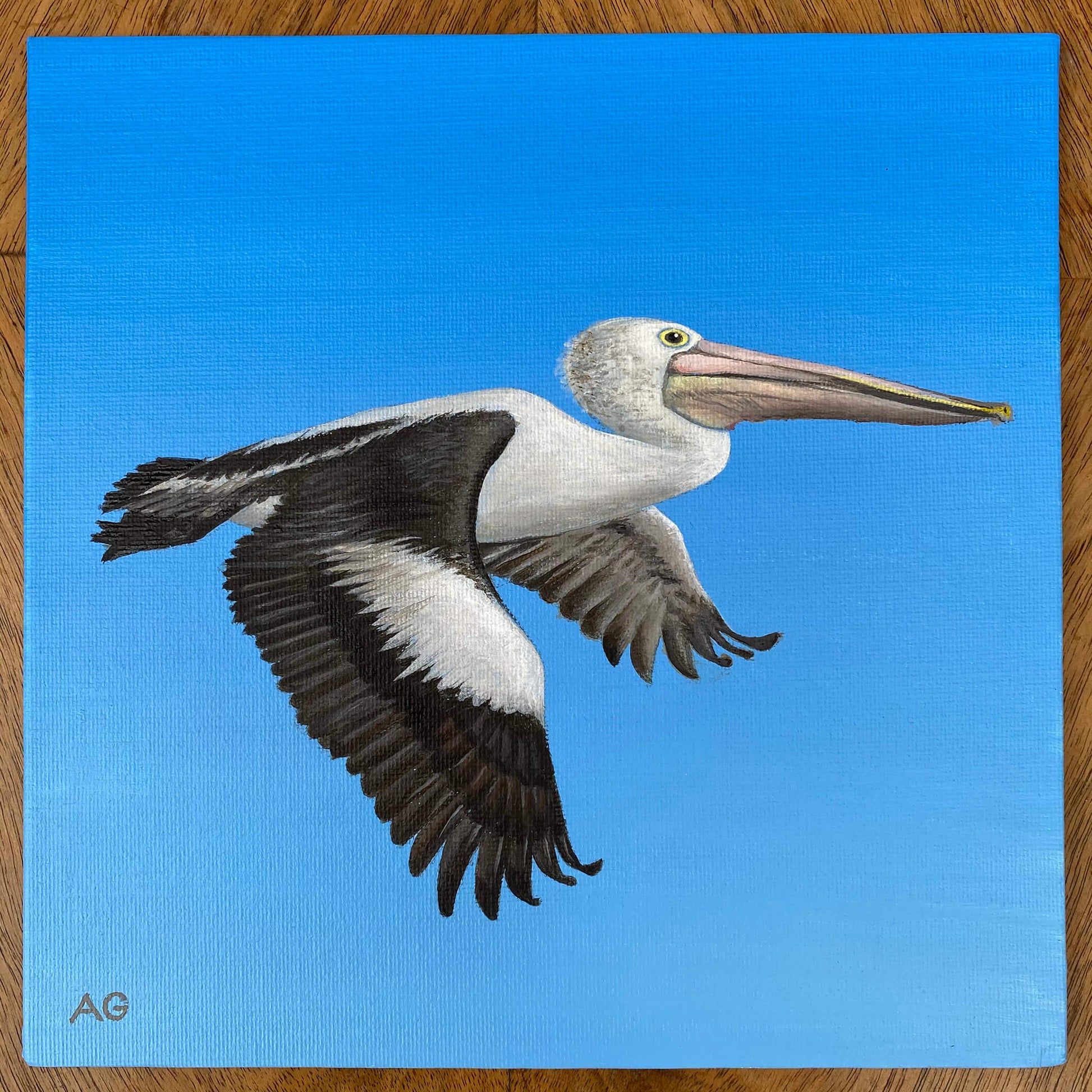 Pelican in flight painting by Amanda Gosse. Original acrylic artwork on canvas panel full. 