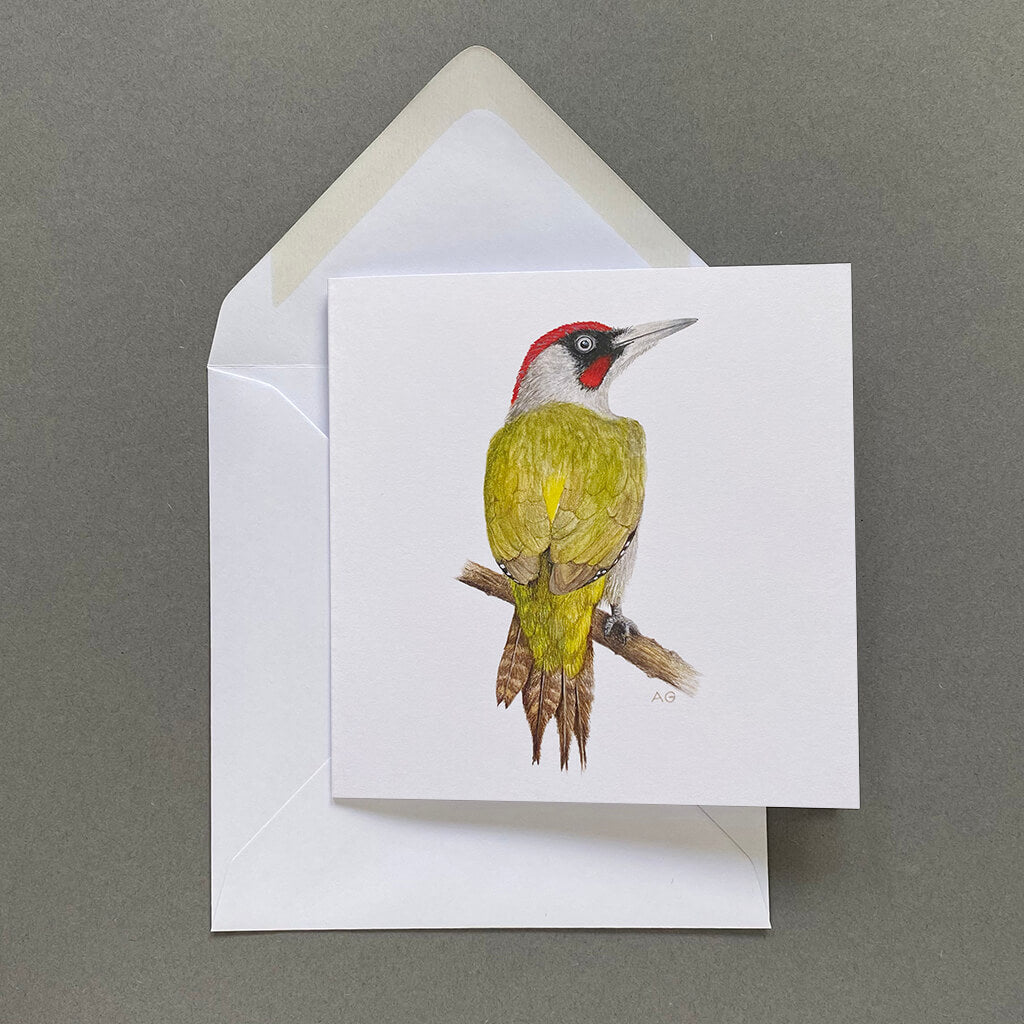 Green woodpecker fine art greetings card by Amanda Gosse