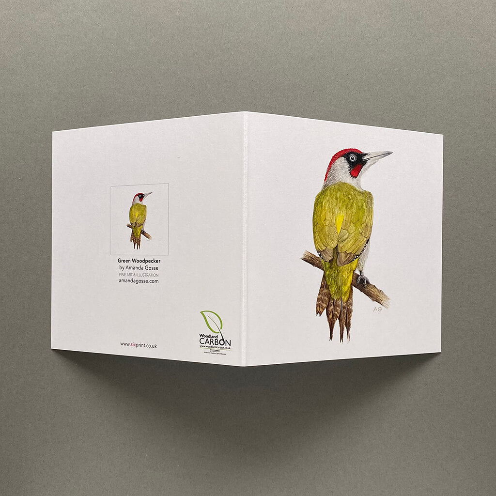 Green woodpecker fine art song bird greetings card by Amanda Gosse