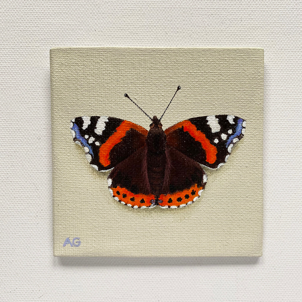 Red Admiral Butterfly miniature painting in acrylic on 10 x 10cm canvas by Amanda Gosse
