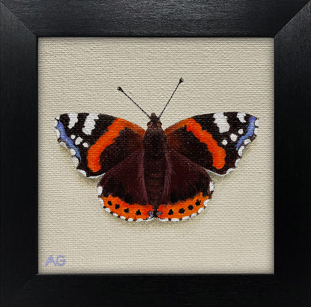 Red Admiral Butterfly miniature painting in acrylic on 10 x 10cm canvas by Amanda Gosse in Frame