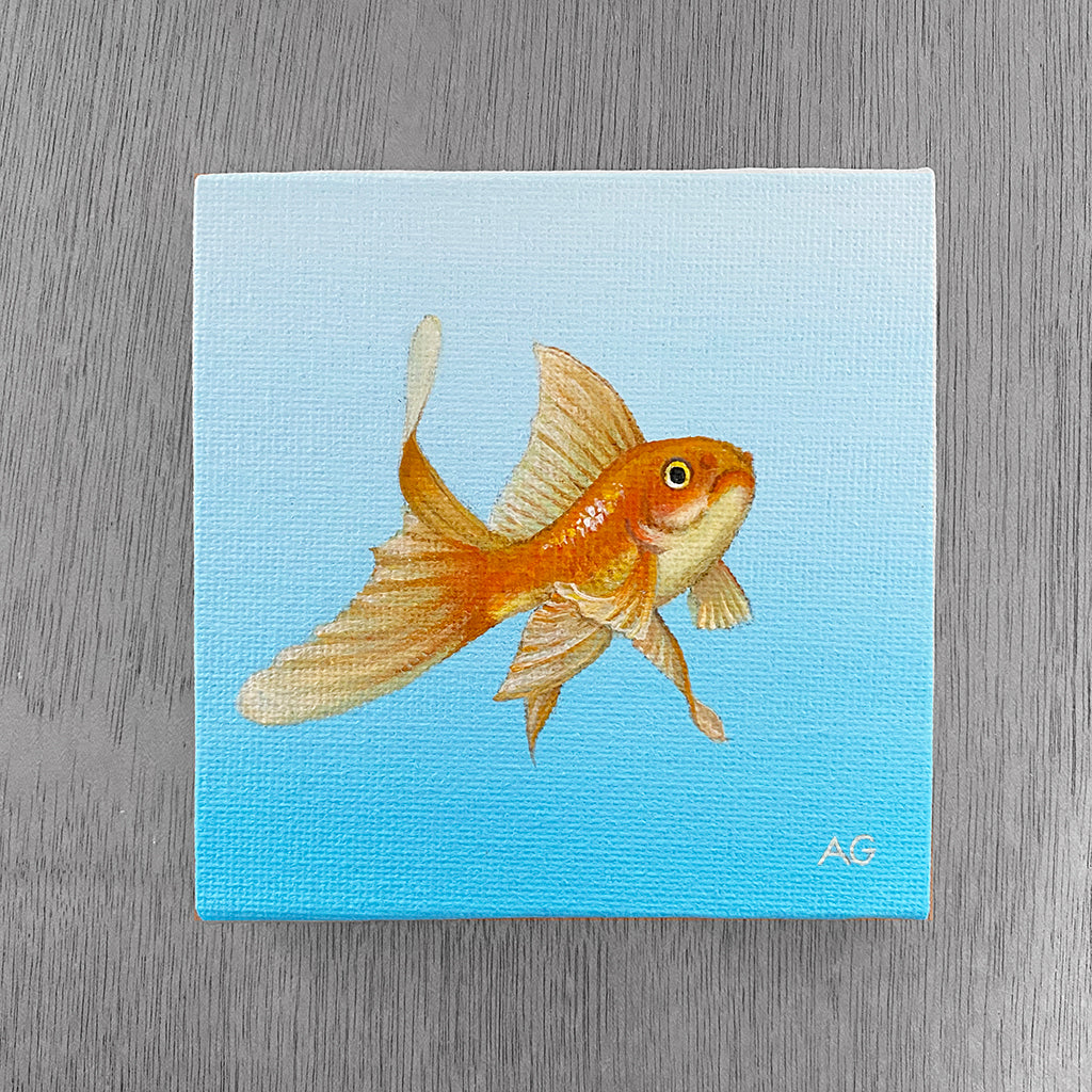 Fantail Goldfish miniature painting acrylic on 10 x 10cm canvas board by Amanda Gosse