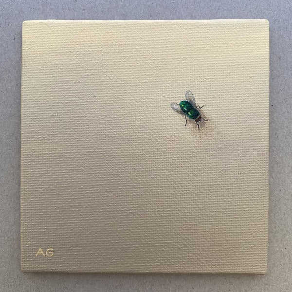 Fly Guy miniature acrylic on canvas painting of a greenbottle fly on a wall by Amanda Gosse