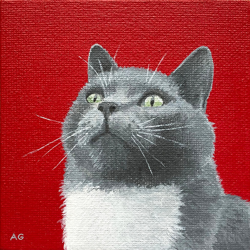Miniature acrylic on canvas painting of a grey and white cat by Amanda Gosse