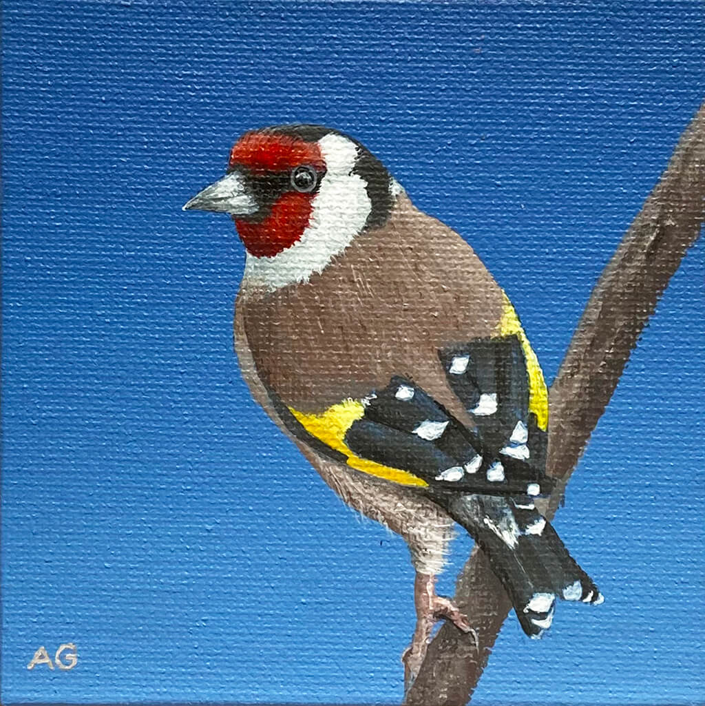 Miniature acrylic on canvas artwork of a goldfinch bird by Amanda Gosse