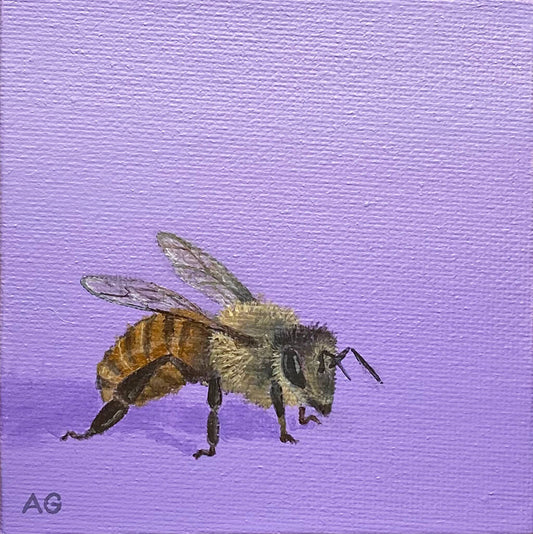 A small painting of a honey bee on a violet lavender purple background painted by artist Amanda Gosse