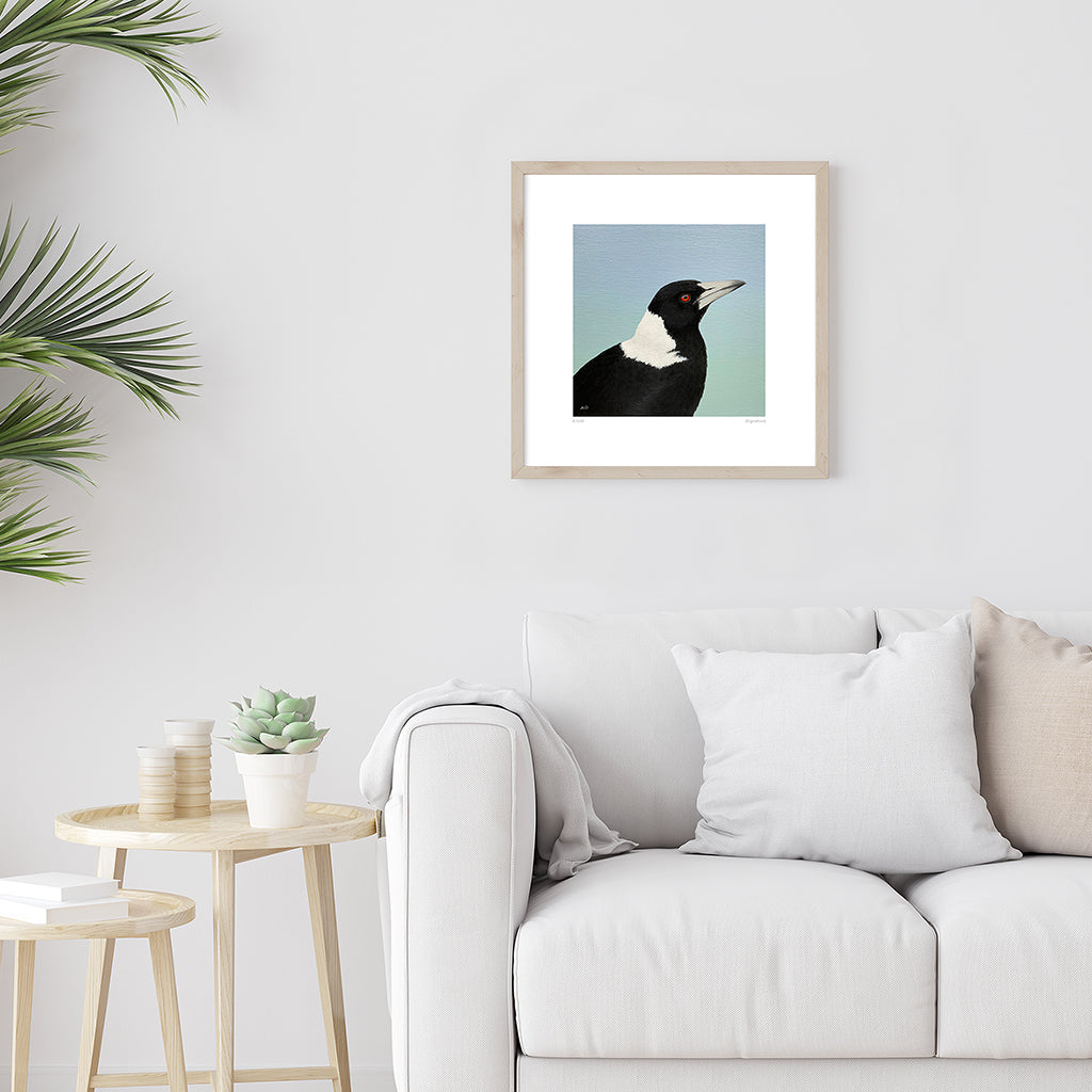 Limited edition fine art print of Australian Magpie by Amanda Gosse artist room view