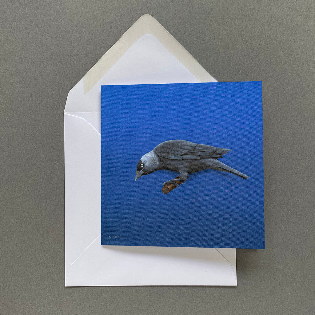 Jackdaw bird on blue fine art greetings card by Amanda Gosse  Edit alt text