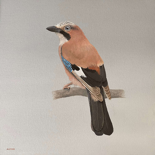 Original painting of a Eurasian jay bird by Amanda Gosse