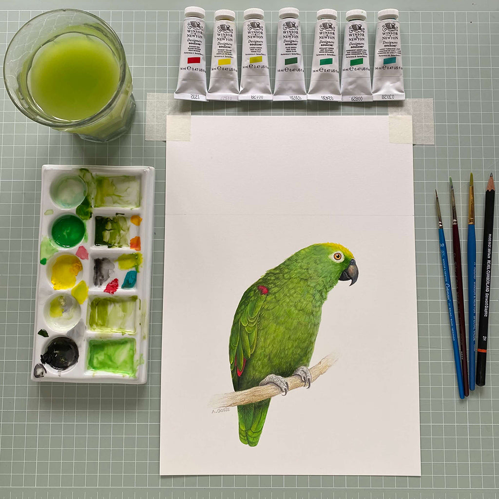 Amazon Parrot original square Gouache Painting by Amanda Gosse bird artist studio image