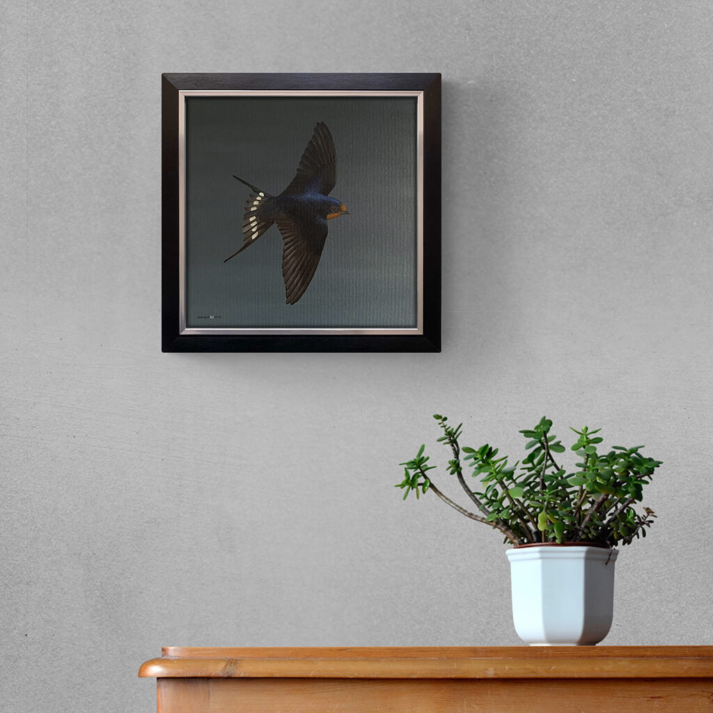 Welcome swallow bird on dark grey background painting in acrylic on square canvas by Amanda Gosse