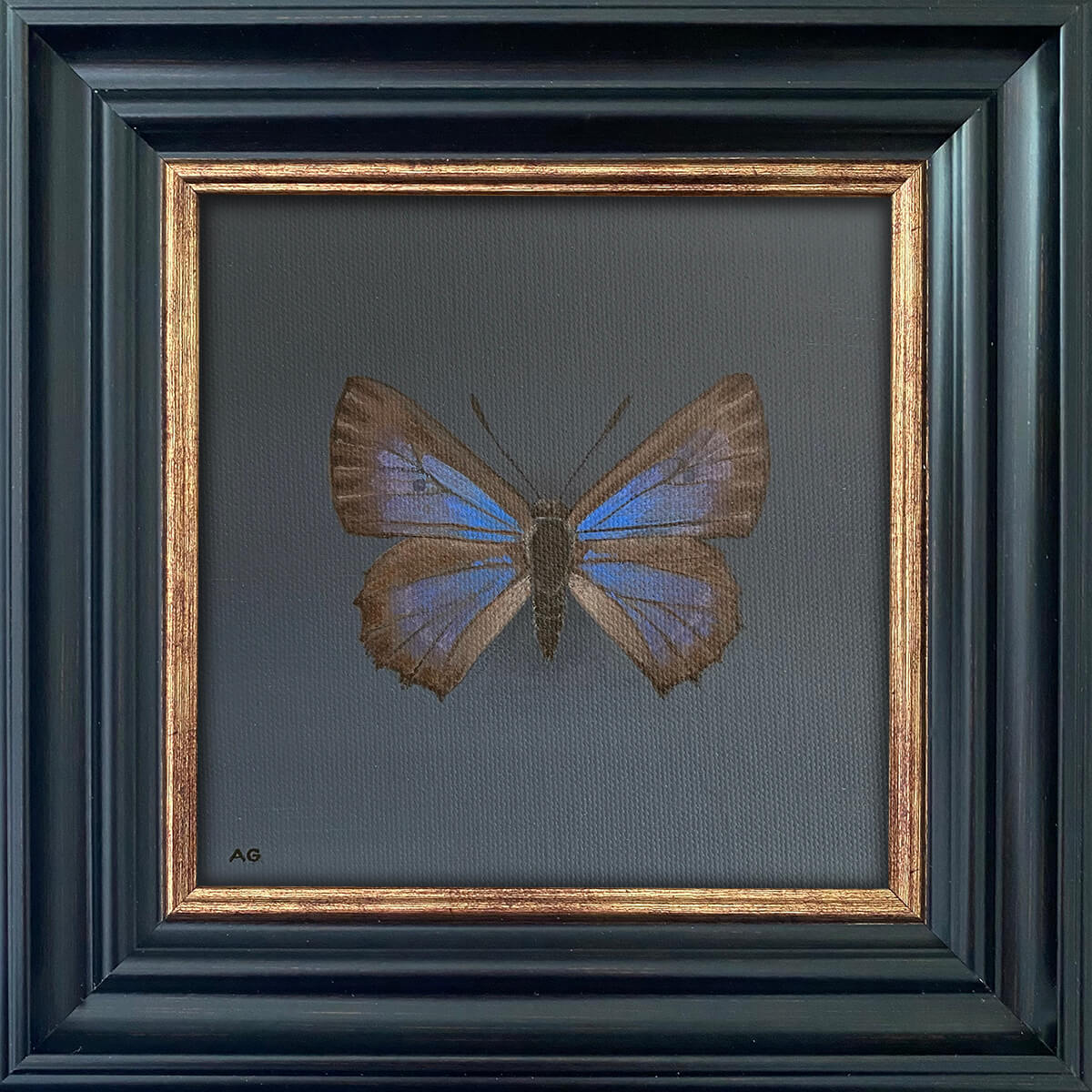 Framed original painting of a Bulloak Jewel Butterfly Acrylic on canvas artwork by Amanda Gosse