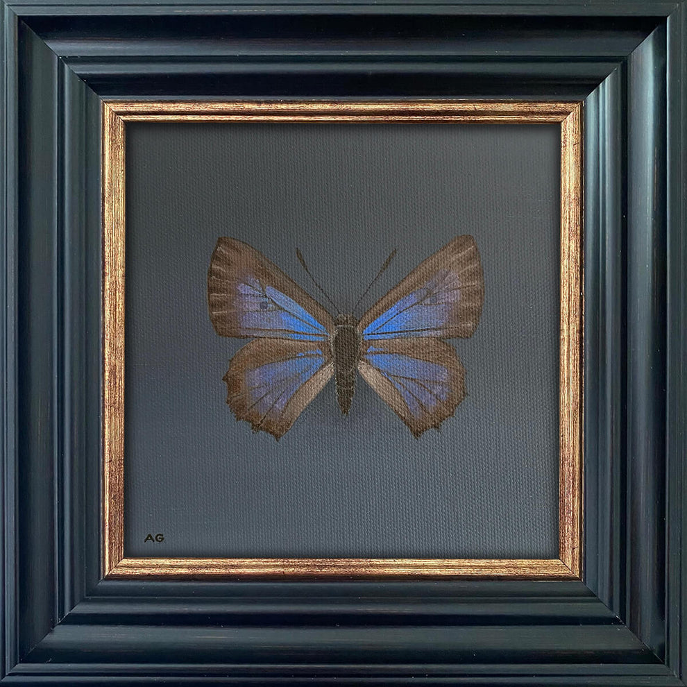 Bulloak Jewel Butterfly Original Acrylic Painting – Amanda Gosse