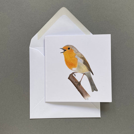 European Robin fine art greetings card by Amanda Gosse