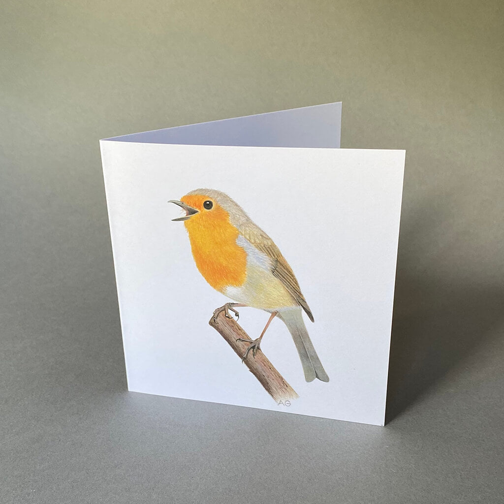 British Bird Robin fine art greetings card by Amanda Gosse