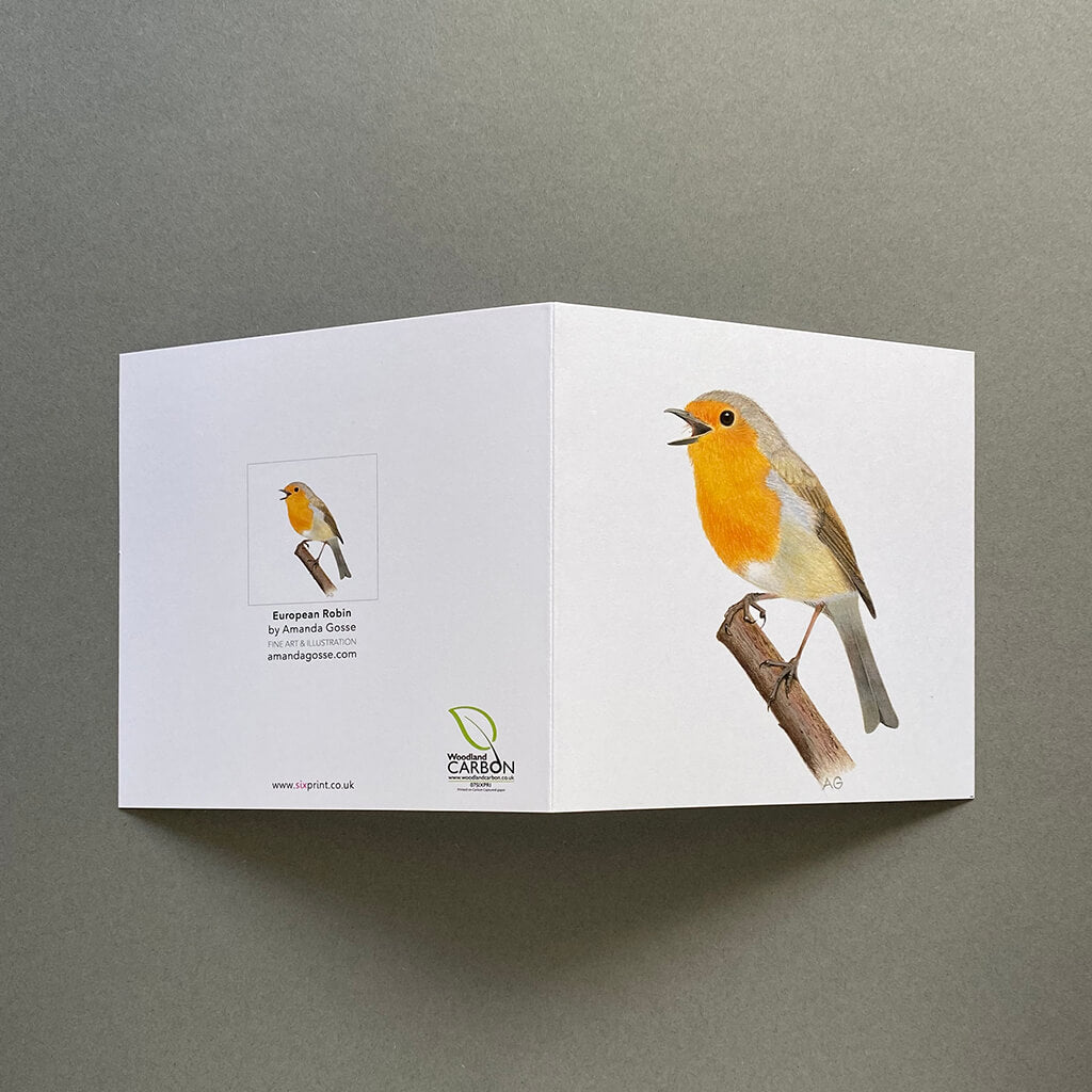 Robin fine art song bird greetings card by Amanda Gosse