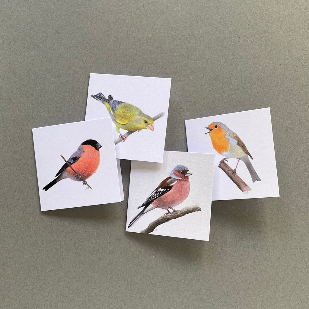 Four fine art British bird miniature cards by Amanda Gosse
