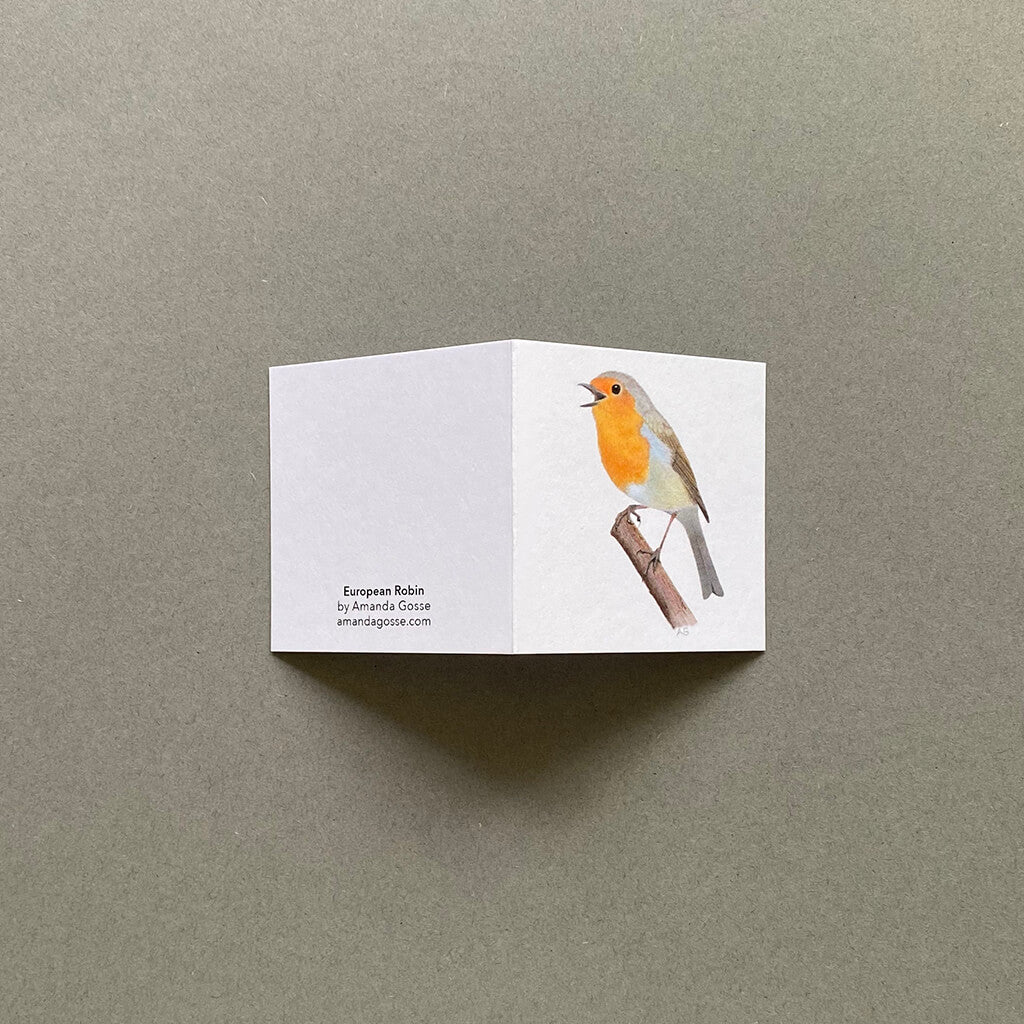 Bird fine art mini birthday card by Amanda Gosse