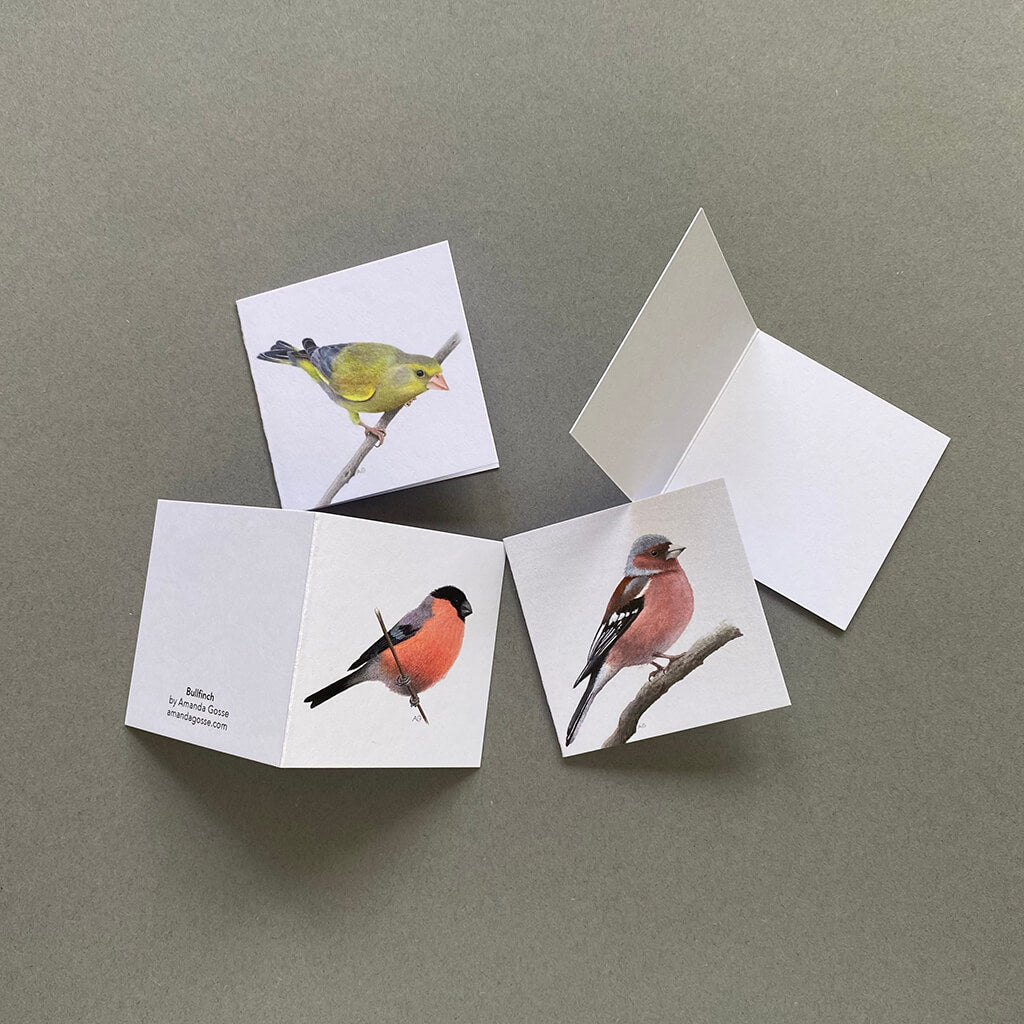 Four fine art British bird miniature gift tag greetings cards by Amanda Gosse