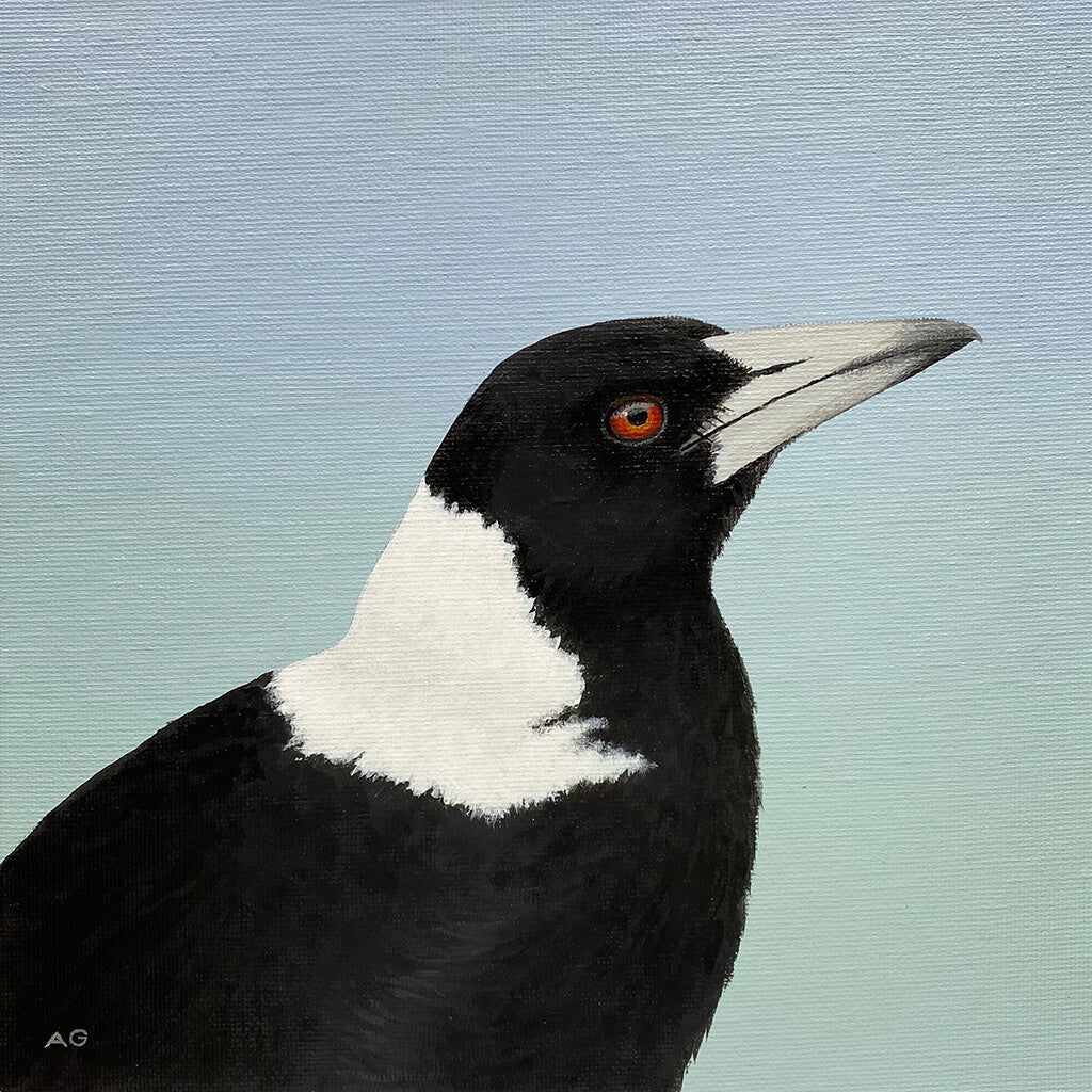 Painting of an Australian magpie against pale blue green background