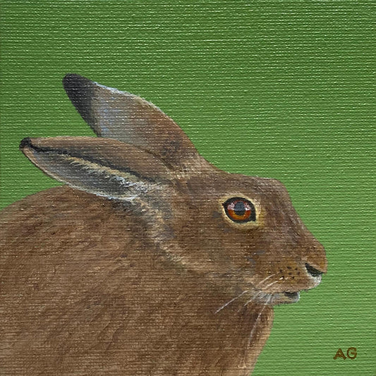Original acrylic on canvas miniature painting of a hare animal by Amanda Gosse 10cm square