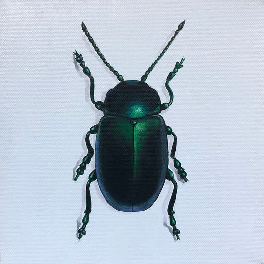Green jewel beetle original acrylic painting by artist Amanda Gosse